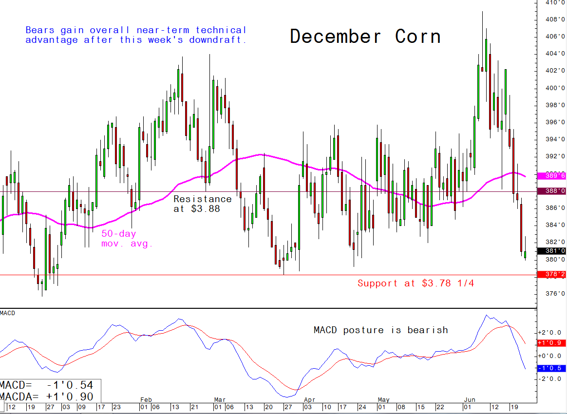 Rcg forex